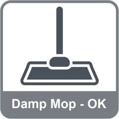 Damp Mop - OK